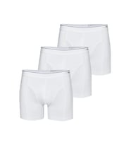 Mulvxbrf Brf02 Erkek Boxer 3Lü 9673 (Mulvix)