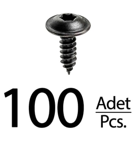 Renault Peugeot Citroen Skoda Fiat Seat için Torx (Tork) Vida Klips - 100 Adet