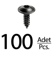Renault Peugeot Citroen Skoda Fiat Seat için Torx (Tork) Vida Klips - 100 Adet
