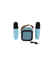 Emr-102 Kutulu 2Li̇ Karaoke Mi̇krofon