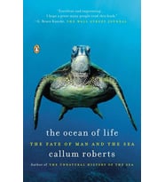 The Ocean Of Life: The Fate Of Man And The Sea