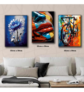 renkli bisiklet boyalı surat kadın çiçek tablosu 3 adet 35cmx50cm kumaş baskılı canvas tablo