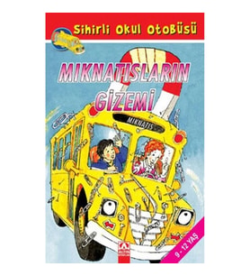 Mıknatısların Gizemi