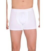 Giyim Berrak Erkek  Modal Boxer  4476