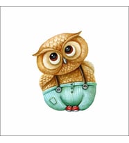Baykuş Stikcker Duvar Sticker 30x25 CM