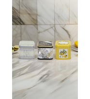 3'lü Kare Kutu Citrus Limon, 90x90x80 mm, 0,7 Lt, şık ve kullanışlı