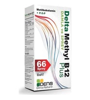Delta Methyl B12 Plus 66 Sprey 10 ml