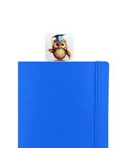 Mezun Baykuş Kitap Ayracı