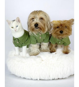 Grass Green Köpek Gömleği Köpek Kıyafeti Köpek Elbisesi (Yeşil)