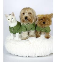 Grass Green Köpek Gömleği Köpek Kıyafeti Köpek Elbisesi (Yeşil)