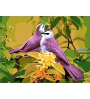 Mor Kuşlar Sayılarla Boyama Seti 40x50 cm (Tuvale Gerili)