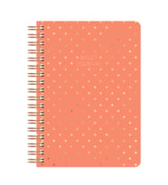 Noktalı Bullet Journal Pro Defter Shine Mercan 17x24