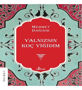 Yalnızsın K Yiğidim
