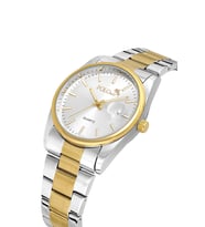 Polo Air Mercek Takvimli Erkek Kol Saati Gold Gümüş Renk PL-7088E5x