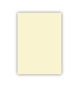 Bigpoint Fon Kartonu 50x70cm 120 Gram Fildişi x 100 Adet