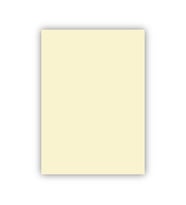 Bigpoint Fon Kartonu 50x70cm 120 Gram Fildişi x 100 Adet