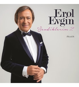 Erol Evgin Sevdiklerim 2 - Plak (Standart)