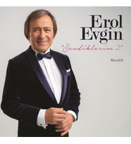 Erol Evgin Sevdiklerim 2 - Plak (Standart)