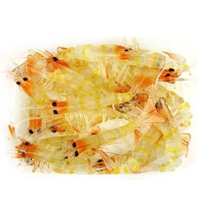 River Bezli Silikon Karides 7.5 Cm 5li Paket Renk:08