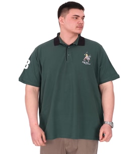 Mode XL Büyük Beden Erkek T-Shirt Polo Yaka Nakış Detaylı U25311 Nefti