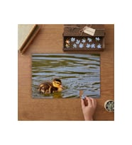 Gölde Yüzen Civciv Ördek Tasarımı 240 parça Ahşap Puzzle Ahşap Kutuda MP05463