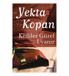 Kediler Güzel Uyanır