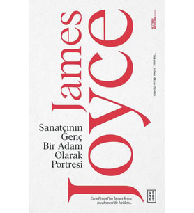 Sanatçının Genç Bir Adam Olarak Portresi