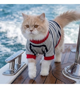 Yacht Club Marin Çizgili Kedi Tişörtü  Lacivert Kırmızı Yazlık Kedi Kıyafeti