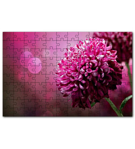 Cakapuzzle Lila Rengi Çiçek Yakın Çekim Flu Arkaplan Puzzle Yapboz MDF (Ahşap) (120 Parça)