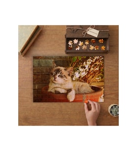 Saksının İçinde Oturan Sevimli Kedi Tasarımı 240 parça Ahşap Puzzle Ahşap Kutuda MP04703