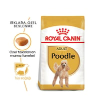 Royal Canin Dog Bhn Poodle Yetişkin Köpek Maması 3 Kg