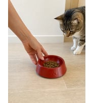 Pati Desen Model Beton Kedi Köpek Mama ve Su Kabı 13 cm çap x 4 cm - Kiremit