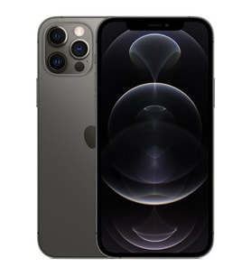 Yenilenmiş Apple iPhone 12 Pro Max 256 GB Grafit Cep Telefonu (12 Ay Garantili) - B Kalite