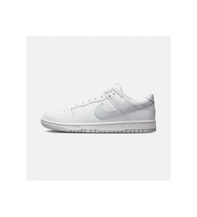 Nike Dunk Low Retro Erkek Ayakkabı Dv0831-101