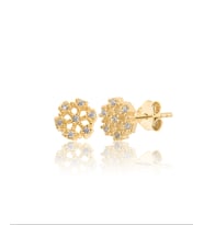 925 ayar Gümüş Kartanesi küpe (Gold)