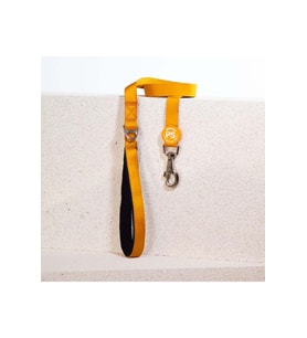 Pawstar Air Köpek Sevk Kayışı L07 Gold 135 cm