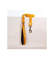 Pawstar Air Köpek Sevk Kayışı L07 Gold 135 cm