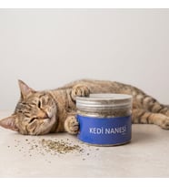 Doğal Kedi Nanesi 250 ml Kavanoz - Oyun ve Stres Azaltıcı