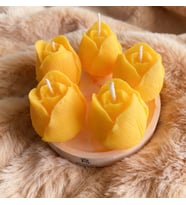 RÜWÜZEL TURUNCU LALE SOYA WAX SERİSİ