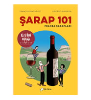Şarap 101: Fransa Şarapları