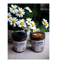 Bihal Papatya Kokulu Doğal Soya Wax Ahşap Fitil Mum (250ML - 510 Gr)
