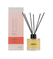DYNAMIC PLACE Karpuz Mango 120 ml Dekoratif Ortam Kokusu Bambu Çubuklu (Standart)
