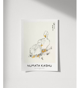 Çerçevesiz Poster Numata Kashu Ördekler ve Çimen