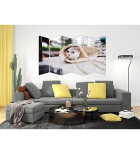 KEDİ MDF TABLO-2530 MODEL-B