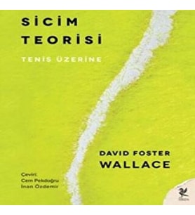 Sicim Teorisi
