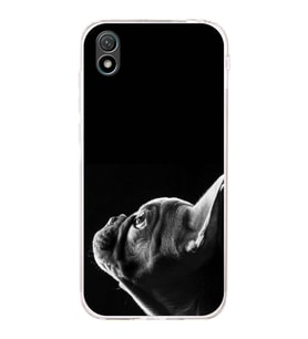 PrintiFy Huawei Y5 2019 ile Uyumlu Köpek 1 Kamera Korumalı Şeffaf Kılıf
