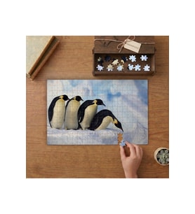 Penguen Ailesi Tasarımı 240 parça Ahşap Puzzle Ahşap Kutuda MP03131