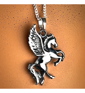 Gümüş Pegasus Kolye 925 Ayar Gümüş Pegasus Figürlü Erkek Kolye Kanatlı At Kolye