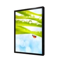 Çiçek Çerçeveli Mdf Tablo