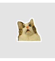 Moon Artica Şaşkın Kedi Tasarımlı Laptop Sticker